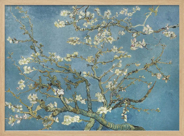 Vincent Van Gogh's Almond Blossom (1890) Vincent Van Gogh