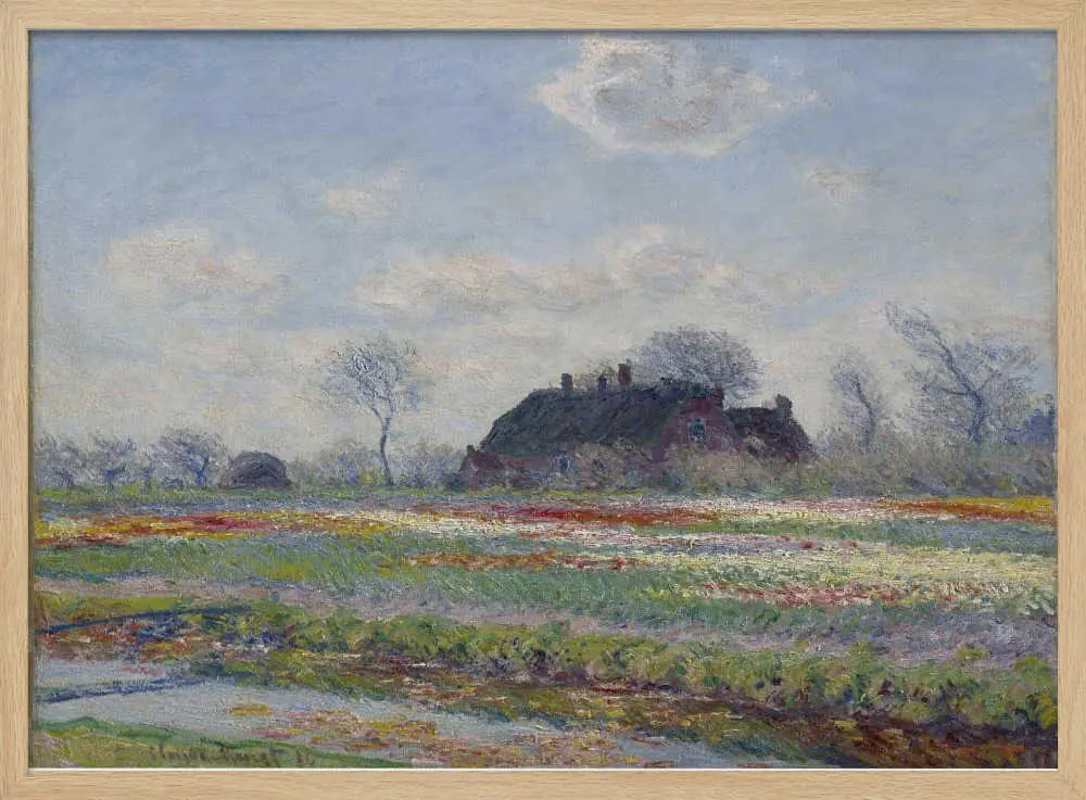 Claude Monet's Tulip Fields At Sassenheim, (1886) Claude Monet