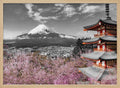 Mount Fuji Cherry Pagoda