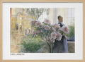 Azalea (1906)