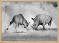 Rhino Eland Showdown
