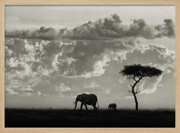 Elephant Family Safari Art Print UK — Dark Moody Calm Wall Art — Nursery — Wall It All Prints