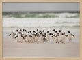 Wild Penguins on Shore
