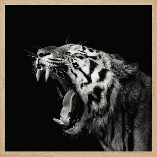 Roaring Tiger Portrait Art Print UK — Dark Moody Dark Wall Art — Living Room — Wall It All Prints