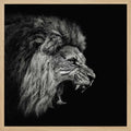 Fierce Roaring Lion