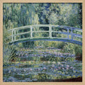 Water Lily Pond