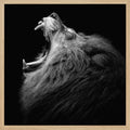 Majestic Roaring Lion