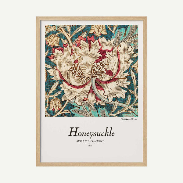 Honeysuckle Art Print UK — Botanical Warm Wall Art — Living Room — Wall It All Prints