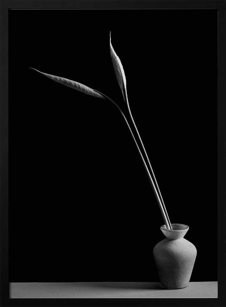 Elegant Botanical Still Life Art Print UK — Japanese Calm Wall Art — Bedroom — Wall It All Prints