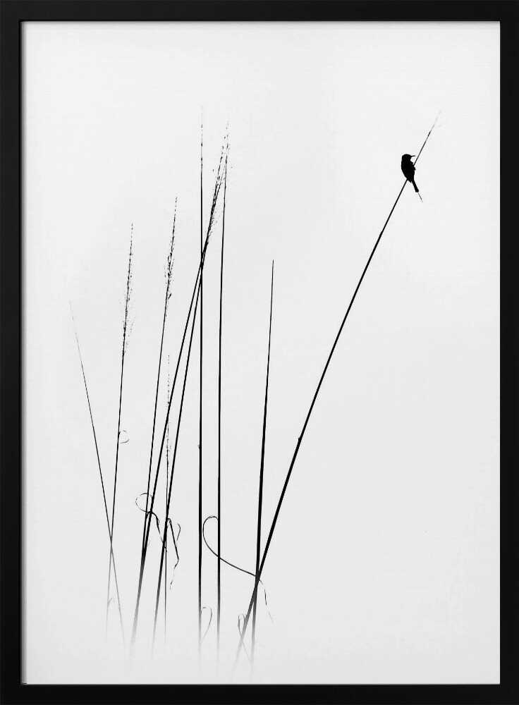 Graceful Reed Bird Art Print UK — Botanical Calm Wall Art — Bedroom — Wall It All Prints