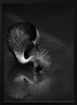 Elegant Crane Reflection Art Print UK — Dark Moody Calm Wall Art — Bedroom — Wall It All Prints
