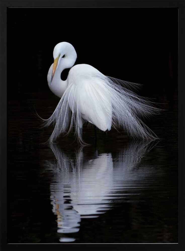 Graceful Egret Reflection Art Print UK — Abstract Calm Wall Art — Bedroom — Wall It All Prints