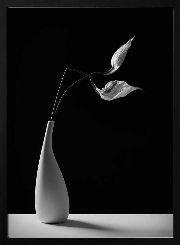 Graceful Peace Lilies Vase Art Print UK — Botanical Calm Wall Art — Office — Wall It All Prints