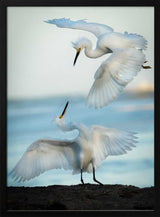 Egrets in Flight Art Print UK — Landscape Elegant Wall Art — Living Room — Wall It All Prints