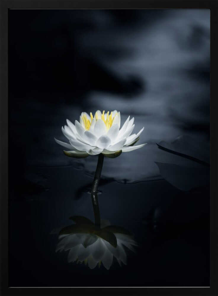 White Lotus Reflection Art Print UK — Japanese Calm Wall Art — Bedroom — Wall It All Prints