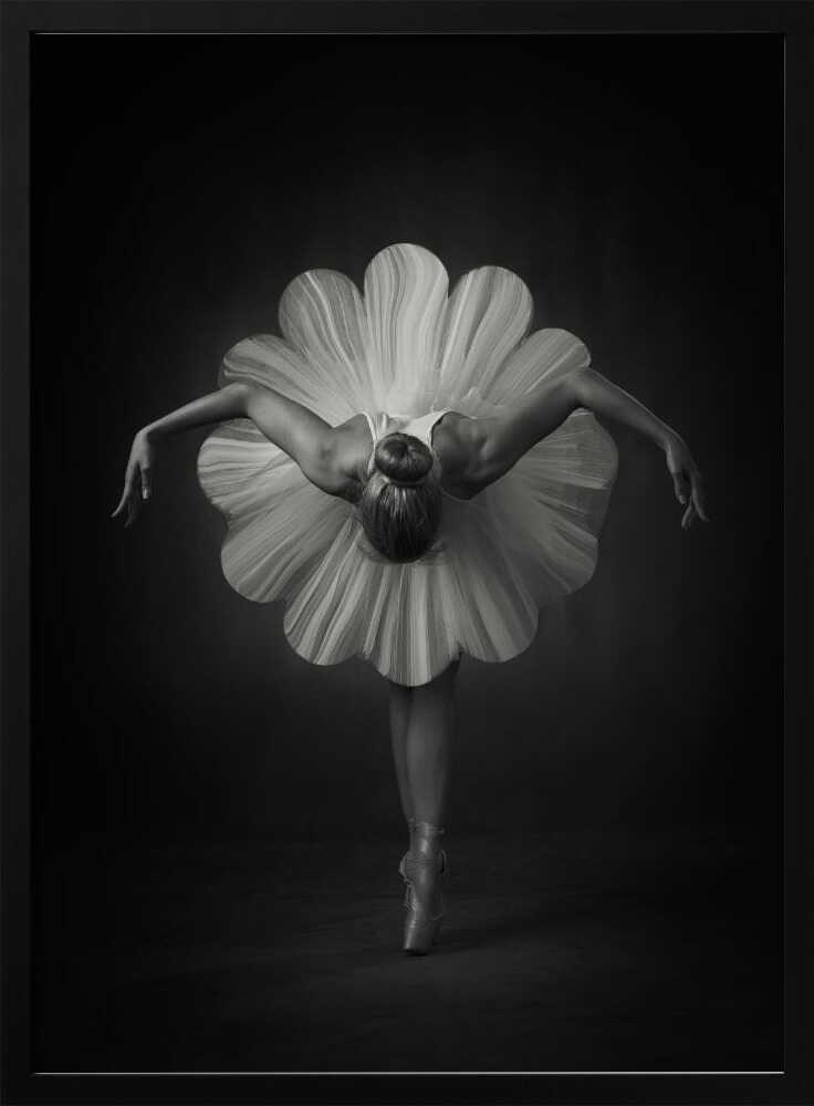 Elegant Ballet Bloom Art Print UK — Botanical Dark Wall Art — Living Room — Wall It All Prints