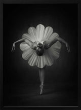 Elegant Ballet Bloom