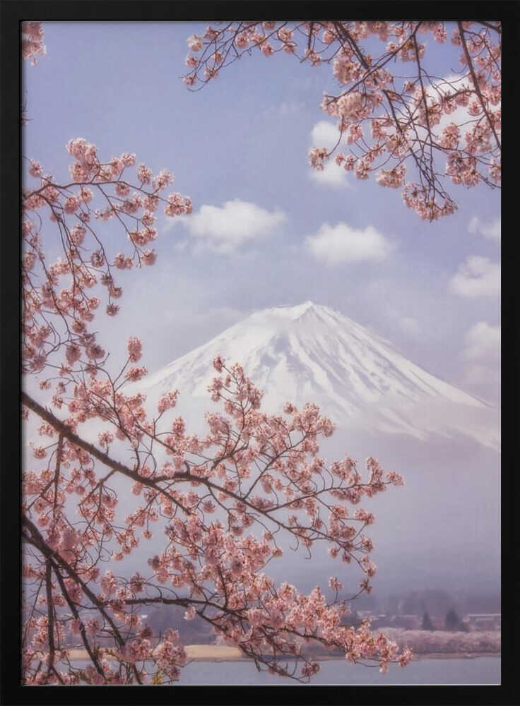 Mount Fuji Cherry Blossoms Art Print UK — Japanese Calm Wall Art — Living Room — Wall It All Prints