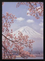 Mount Fuji Cherry Blossoms Art Print UK — Japanese Calm Wall Art — Living Room — Wall It All Prints