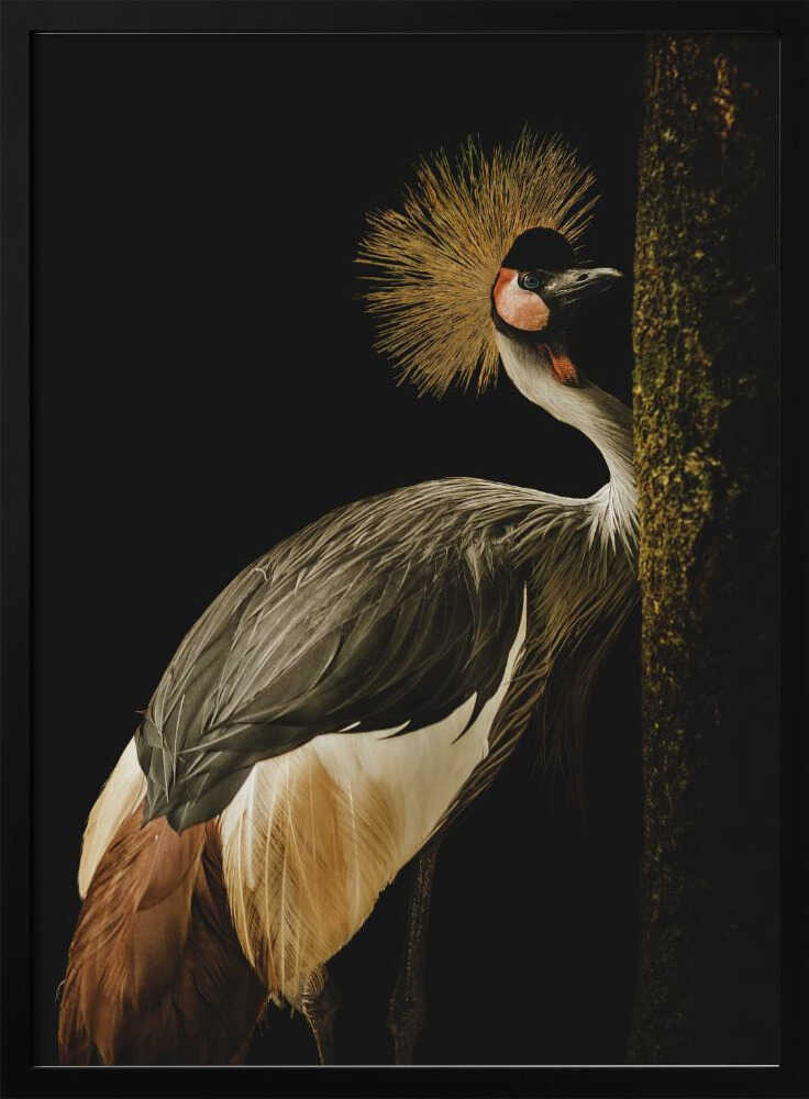 Regal Crowned Crane Art Print UK — Dark Moody Vibrant Wall Art — Living Room — Wall It All Prints