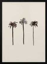 Tropical Palm Silhouettes