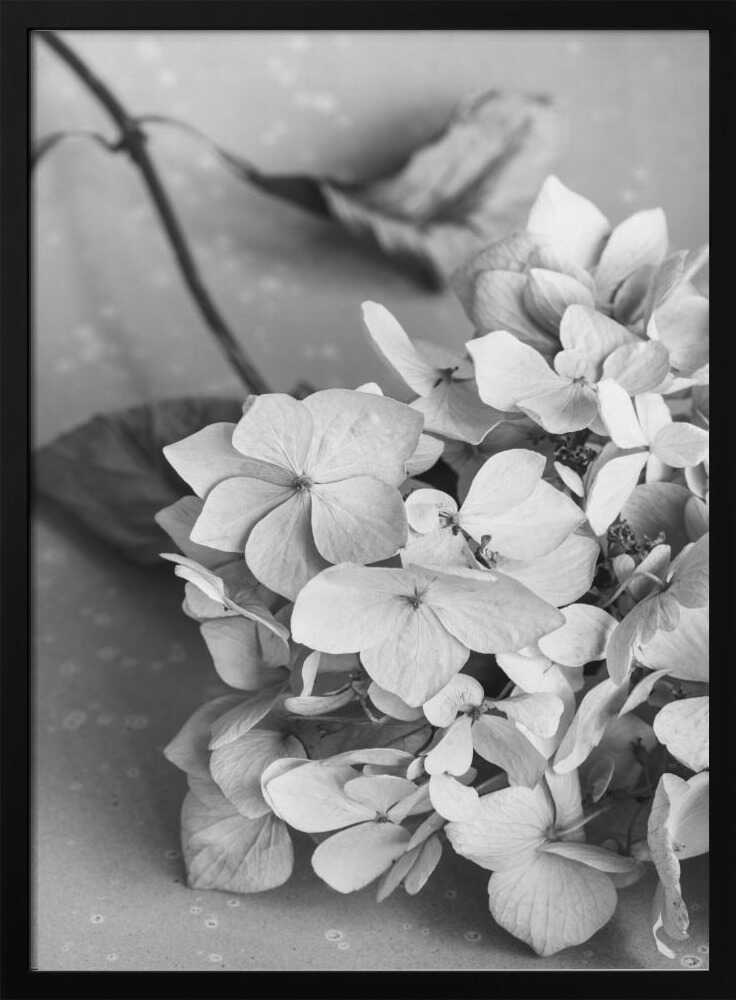 Monochrome Hydrangea Still Life Art Print UK — Botanical Calm Wall Art — Bedroom — Wall It All Prints