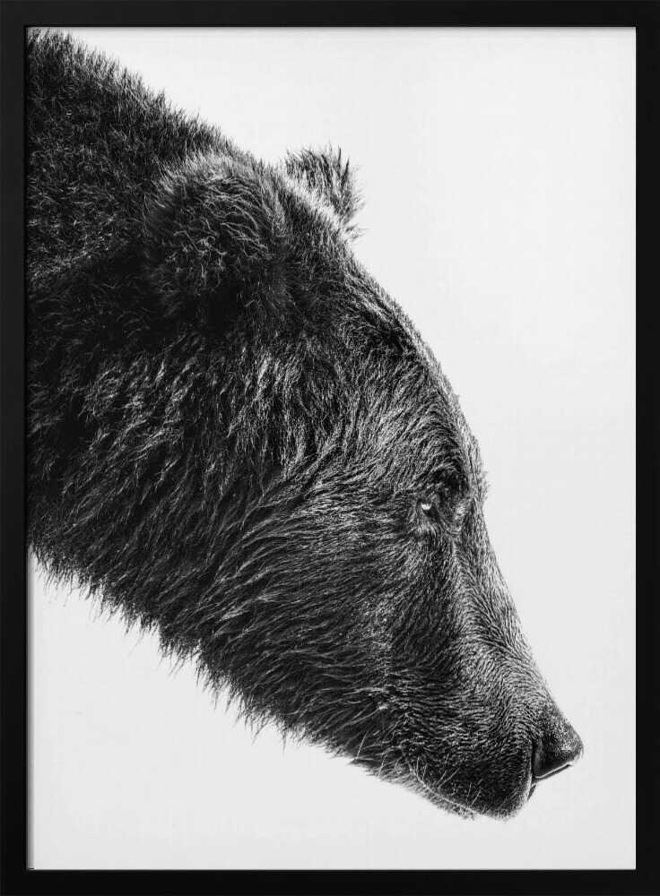 Grizzly Bear Profile Art Print UK — Dark Moody Dark Wall Art — Living Room — Wall It All Prints