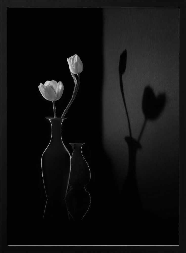 White Tulips and Shadows Art Print UK — Botanical Calm Wall Art — Bedroom — Wall It All Prints
