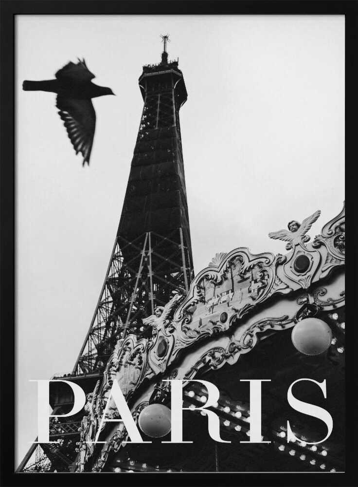 Paris Dove Art Print UK — Vintage Dark Wall Art — Living Room — Wall It All Prints
