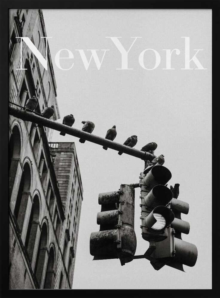 NYC Doves Art Print UK — Vintage Dark Wall Art — Living Room — Wall It All Prints