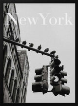 NYC Doves Art Print UK — Vintage Dark Wall Art — Living Room — Wall It All Prints