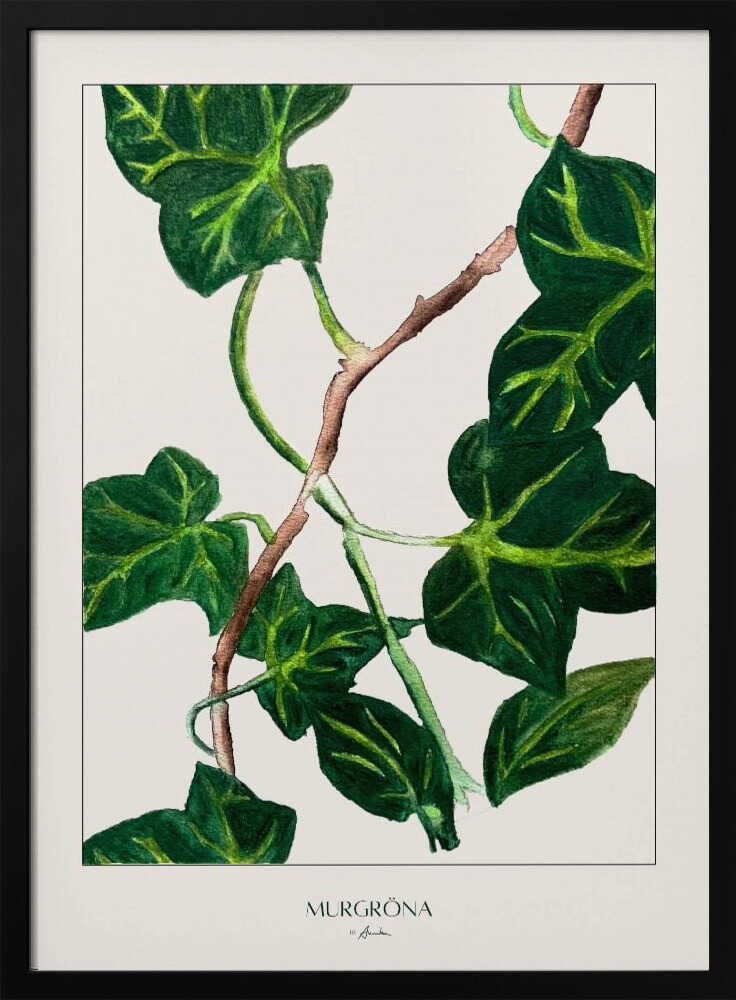 Green Ivy Botanical Art Print UK — Botanical Vibrant Wall Art — Living Room — Wall It All Prints