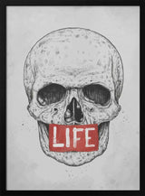 Skull of Life