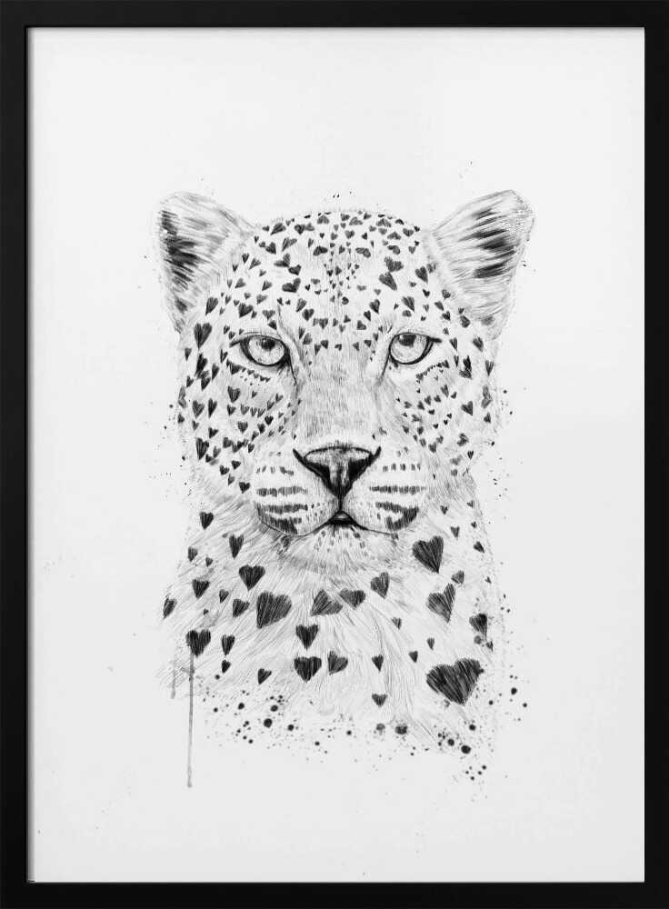 Heart Spotted Leopard