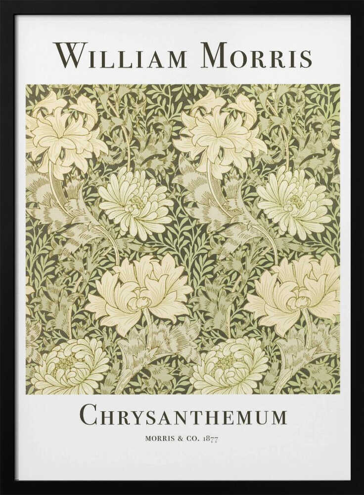 Chrysanthemum Art Print UK — Botanical Fresh Wall Art — Living Room — Wall It All Prints