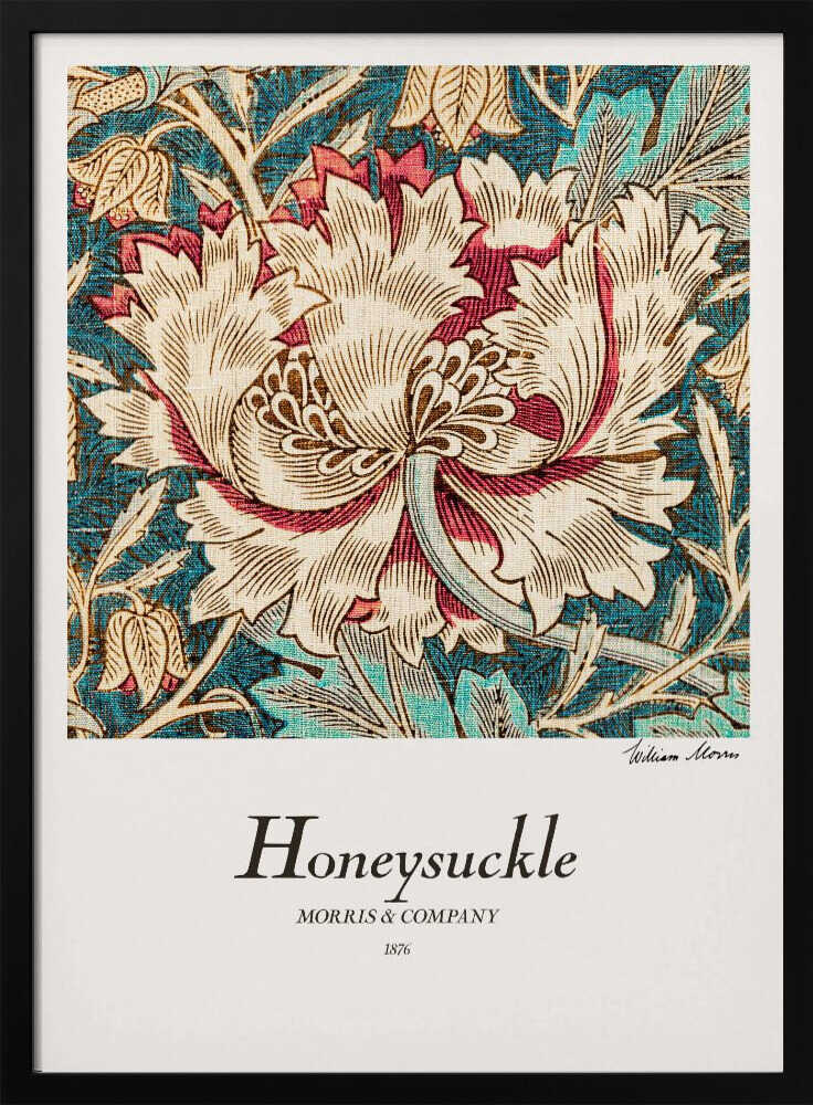 Honeysuckle Art Print UK — Botanical Warm Wall Art — Living Room — Wall It All Prints