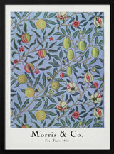 Four Fruits