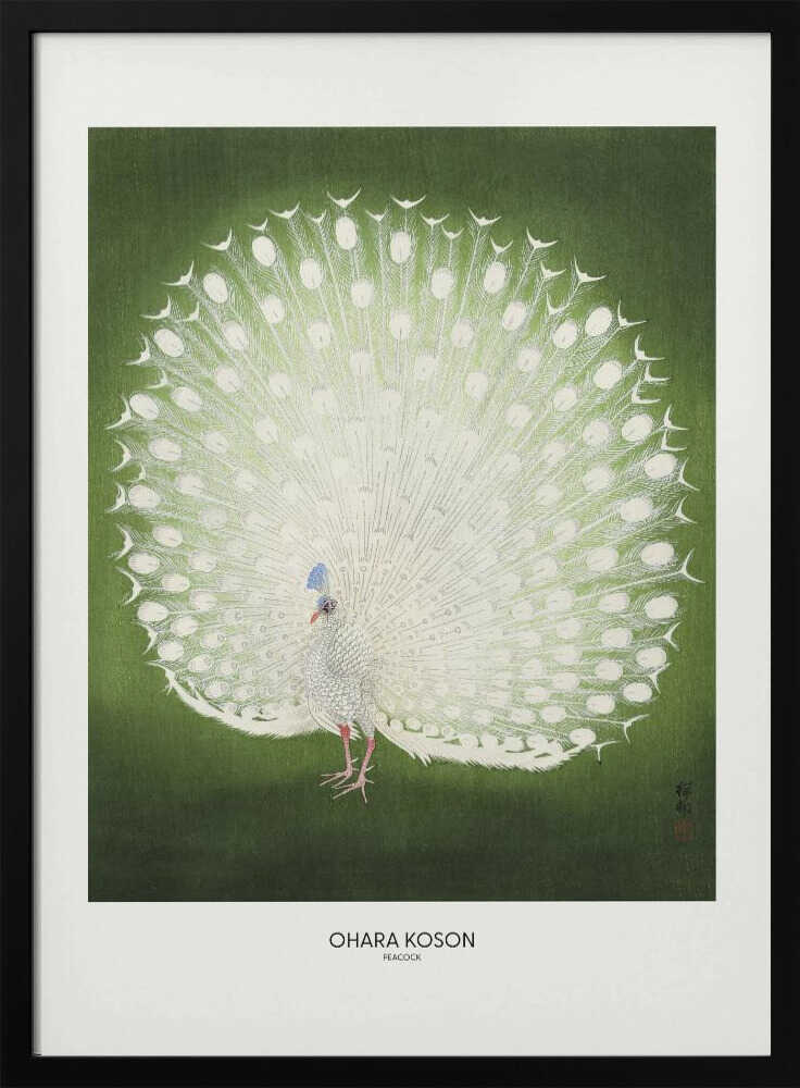 Peacock - Wide Art Print UK — Japanese Fresh Wall Art — Living Room — Wall It All Prints