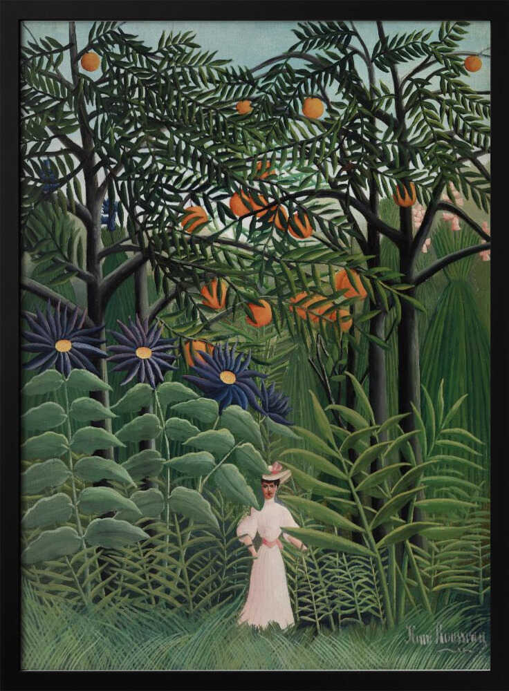 Femme Se Promenant Dans Une Foret Exotique