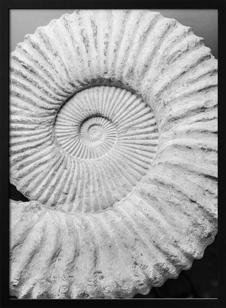 Ancient Spiral Dreams Art Print UK — Abstract Dark Wall Art — Office — Wall It All Prints