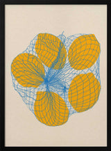 Five Lemons In a Net Bag