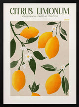Golden Citrus Delight