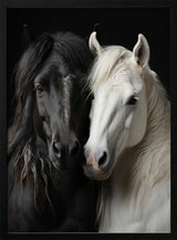 Elegant Horse Companions
