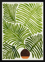 Summer Fern