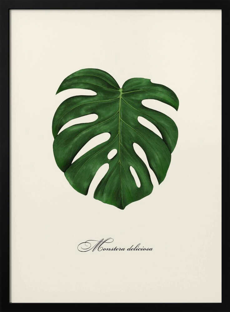Monstera Deliciosa Leaf Art Print UK — Botanical Vibrant Wall Art — Living Room — Wall It All Prints