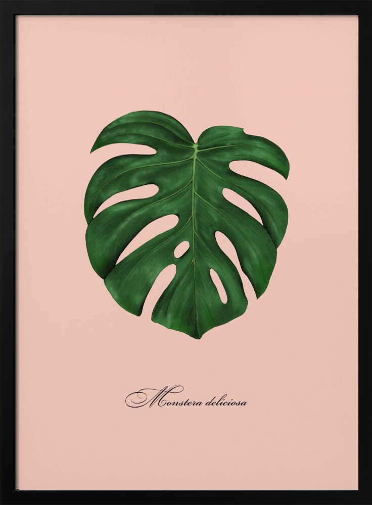 Tropical Monstera Leaf Art Print UK — Botanical Fresh Wall Art — Living Room — Wall It All Prints