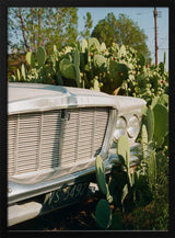 Vintage Car Desert Bloom Art Print UK — Botanical Fresh Wall Art — Living Room — Wall It All Prints