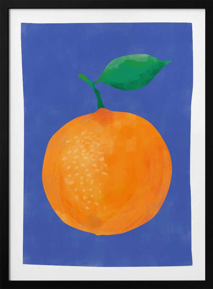 Fresh Orange Blue