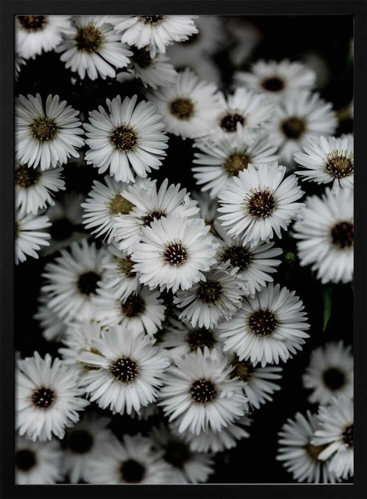 Tiny Flowers 3 Art Print UK — Botanical Fresh Wall Art — Living Room — Wall It All Prints