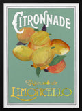 Vintage Limoncello Citronnade